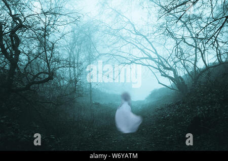 A dark, spooky forest with a ghostly woman in a white dress, on a foggy winters day. With an old artistic vintage edit. Stock Photo