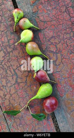 Closeup row of ripe red-green pears lie on an old peeling bench, selective focus Stock Photo
