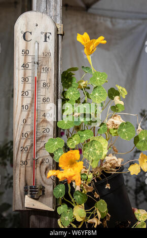 thermometer on my terrace in high temperature Stock Photo