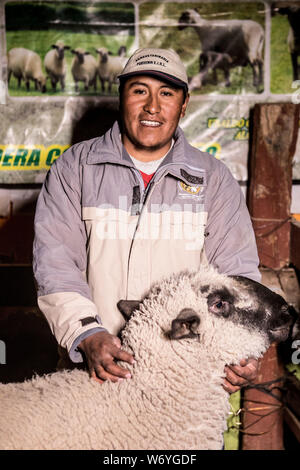 Medico Veterinario de los corderos o borregos de Quilahuani en la region Tacna de Peru , Ruben Mango Cansina, originario de Asagnaro  de Quilahuani  ( Photo/:Luis Gutierrez / NortePhoto.com) Stock Photo