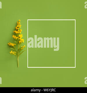 branch of little yellow flowers and white frame on green background