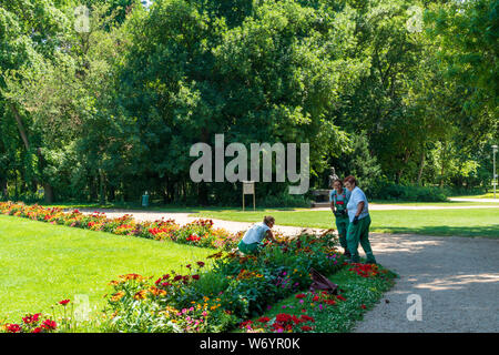 Budapest, Hungary - July 08, 2019: The Margaret Island on the Danube, between Buda and Pest, is a quiet green area of the city. The pedestrian walkway Stock Photo