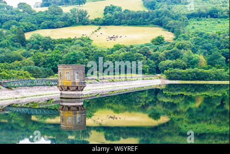Reflections in Talybont Reservoir in the Central Brecon Beacons Powys Wales on s till summer day in August
