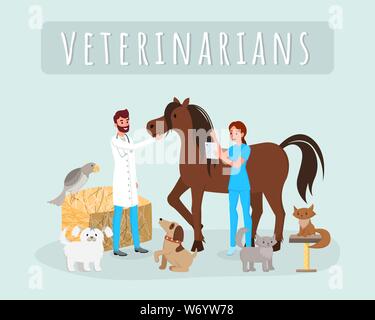 Veterinarians at work vector illustration. Male, female vets, doctors examining horse, stallion cartoon characters. Veterinary clinic, hospital workers treating cats, dogs, checking animals health Stock Vector