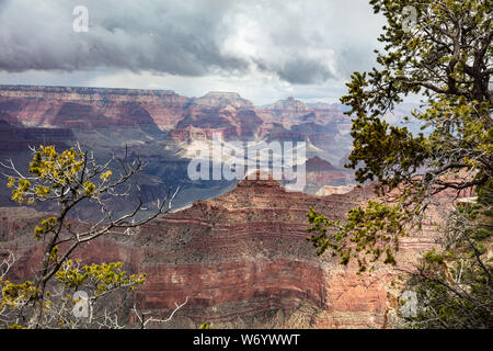 Grand Canyon National park, Arizona, United States. Overlook of the red rocks, pine trees and cloudy sky background Stock Photo