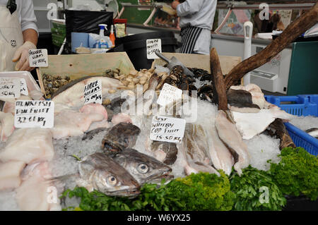 SEA QUEST: The famous Borough market of the United Kingdom has a variety of fresh fish for the choosing. Stock Photo