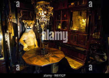 Taxidermy lion sitting in a chair at Viktor Wynd Museum of Curiosities and Last Tuesday Society, London, UK Stock Photo