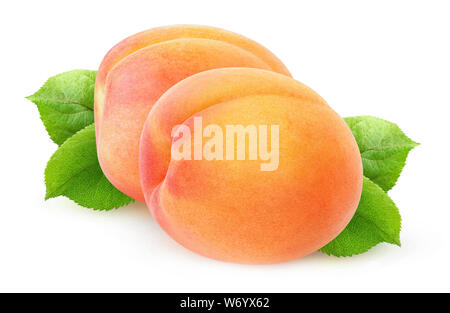 Isolated fresh apricots. Two whole fruits with leaves isolated on white background with clipping path Stock Photo