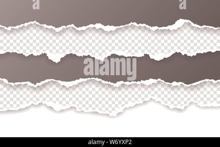 Horizontal torn paper edge. Ripped squared horizontal paper strips. Vector illustration. Stock Vector
