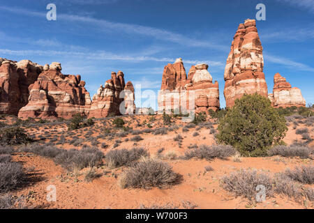 Chesler Park Rock Formations located within Canyonlands National Park - Needles District Utah. Stock Photo