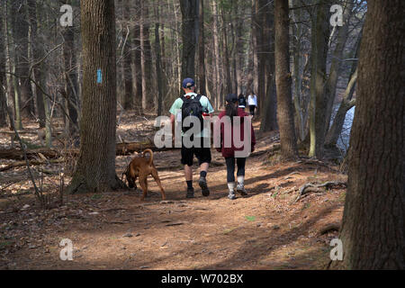 Couple on a hiking trail bringing their pet dog to explore too. Stock Photo