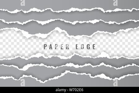 Torn paper edge. Ripped squared paper strips. Vector illustration. Stock Vector