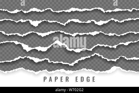 Torn paper edge. Ripped squared paper strips. Vector illustration. Stock Vector