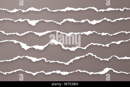 Torn paper edge. Ripped squared paper strips. Vector illustration. Stock Vector
