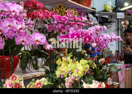 Variation of orchids sold in Mong Kok Flower Market, Hong Kong Stock Photo