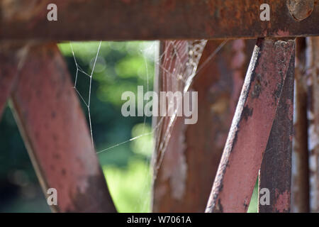 Spider Web on Steel Beam Stock Photo