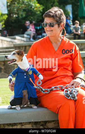 Sandy Springs, GA, USA - September 22, 2018:  A jack russell terrier dressed as a prison guard is chained to its human owner, dressed in an orange pri Stock Photo