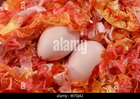 Two pink Easter eggs in nest of orange, yellow and red ribbon yarn Stock Photo