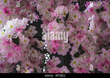 fake Sakura flowers for decoration in the super market Stock Photo