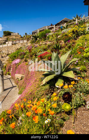 UK, England, Cornwall, Porthcurno, Minack Theatre, terraced garden, created by Rowena Cade and gardener Billy Rawlings, colourful floral planting Stock Photo