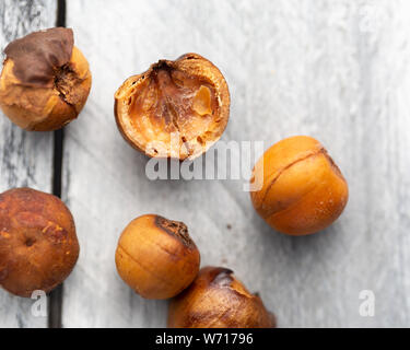 Whole bush onion on a white background Stock Photo