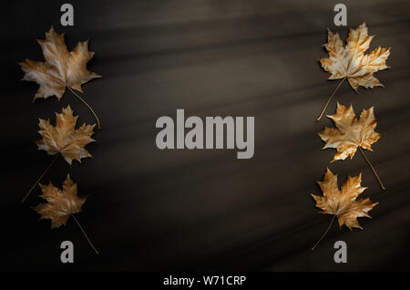 Golden maple leaves on a black background. Autumn background. Flat lay, top view Stock Photo