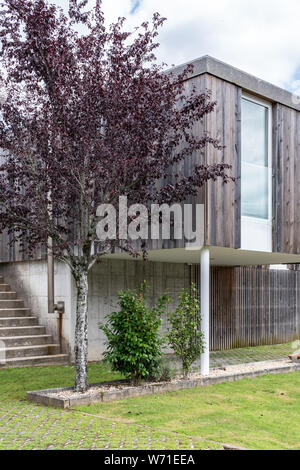 Modern House with wood cladding. Modern architecture Stock Photo