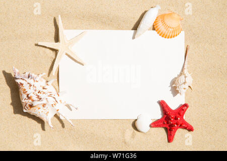 Blank vintage images with seashels on sand background Stock Photo