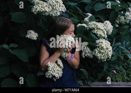 Cute little girl smelling hydrangea. Person holding flowers on dark natural background. Child enjoying bouquet outside. Going to park, forest in summer and spring. Connection with nature idea Stock Photo