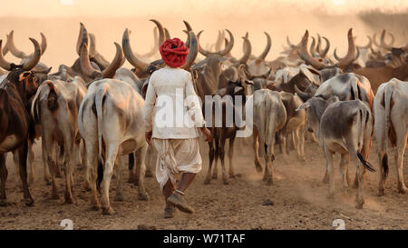 Rabari herder in a rural village in the district of Kutch, Gujarat. The Kutch region is well known for its tribal life and traditional culture. Stock Photo