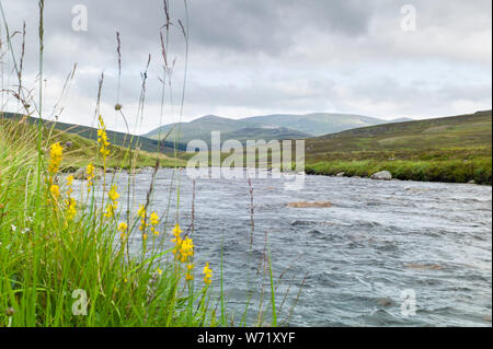 River Dee at Glen Dee, Marr Lodge Estate, Braemar, Scotland Stock Photo