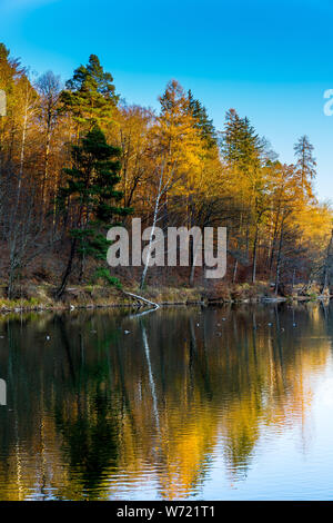 Different colored trees in autumn season reflected by silent lake water at sunset Stock Photo