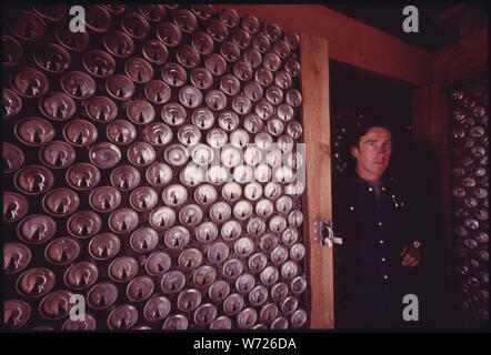 EMPTY STEEL BEER AND SOFT DRINK CANS ARE BEING USED TO BUILD EXPERIMENTAL HOUSING NEAR TAOS, NEW MEXICO. DESIGNER MICHAEL REYNOLDS STANDS NEXT TO AN INTERIOR WALL IN ONE OF THE STRUCTURES THE INSIDE WALLS ARE BUILT WITH CANS IN THE POSITION SHOWN. THE OUTSIDE WALLS ARE CONSTRUCTED USING AN EIGHT CAN UNIT AS A BUILDING BLOCK. (SEE #14164) SOME 70,000 CANS ARE NEEDED TO BUILD A HOUSE WHICH REYNOLDS SAYS CAN BE BUILT AS MUCH AS 20%%%%%%%% CHEAPER THAN CONVENTIONAL HOMES Stock Photo