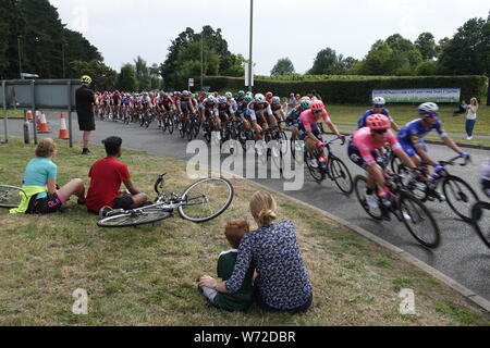 Surrey, UK. 04th Aug, 2019.   The peleton of cyclists racing in the Prudential Ride London/Surrey Classic for Pro riders round the bend outside Debies Vineyard in Dorking . Credit: Motofoto/Alamy Live News Stock Photo