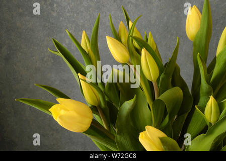 Bouquet of yellow tulips in vase on gray wall background, indoors Stock Photo