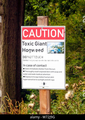 Warning sign for poisonous Giant Hogweed Heracleum mantegazzianum with instructions for first aid Stock Photo