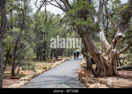 Grand Canyon, Arizona, USA. May 22, 2019. Young couple holding hands walking on the south rim path, cloudy sky Stock Photo