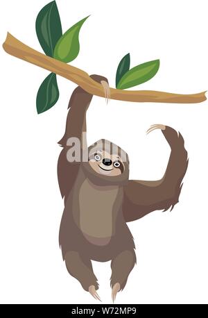 Sloth on tree branch icon. Cartoon of sloth on tree branch vector icon for web design isolated on white background Stock Vector