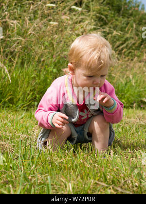 Toddler watching grasshopper in the grass, UK Stock Photo