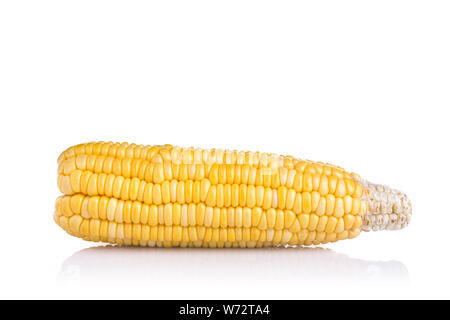 Fresh yellow sweet corn on the cob. Studio shot and isolated on white background. For food concept Stock Photo