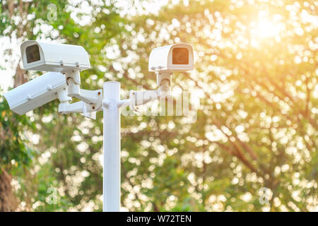 White security CCTV camera installed in the park at public area on blur background Stock Photo