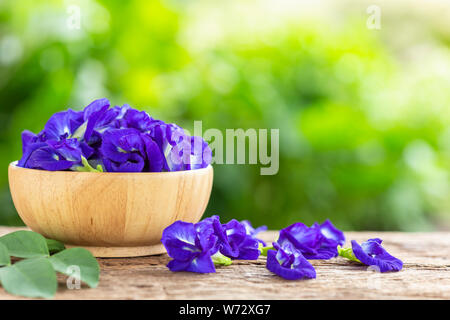 Fresh purple Butterfly pea flower on wooden table background with green blur light space background for text, design, photo montage or advertising Stock Photo