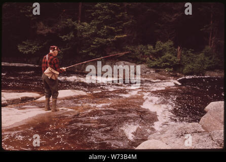 TROUT FISHERMAN FISHING ON TWITCHELL CREEK NEAR BIG MOOSE NEW YORK, IN THE ADIRONDACK FOREST PRESERVE Stock Photo
