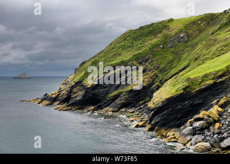 Sea cliffs and island south of Portloe in near Veryan on the Roseland Heritage Coast on the Atlantic Ocean Cornwall England Stock Photo