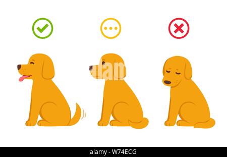 Cartoon dog with yes, now and maybe symbols, wrong and right. Dog in different states: excited, neutral and sad, with good (green checkmark) and bad ( Stock Vector