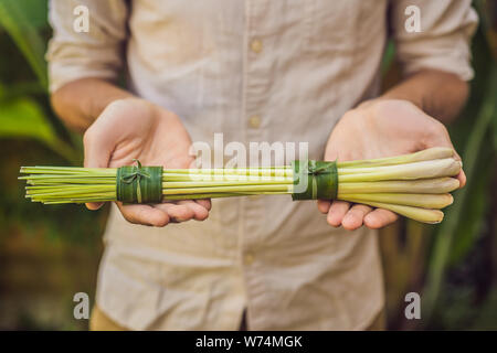 Eco-friendly product packaging concept. Lemongrass wrapped in a banana leaf, as an alternative to a plastic bag. Zero waste concept. Alternative Stock Photo