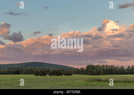 Cloud Formation over Creamer's Field in Alaska Stock Photo