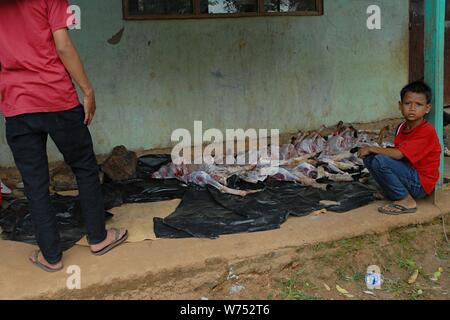 Bogor, West Java, Indonesia - August 2019 : People wait for their meat donation quota by the array of skinned lamb in an underdeveloped village. Stock Photo