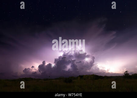 An impressive thunderhead is illuminated from within by lightning during an electrical storm in Everglades National Park. Stock Photo