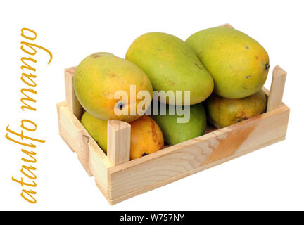 ataulfo mango in crate isolated on white Stock Photo